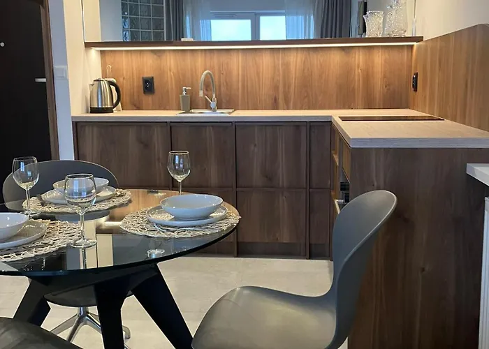 Architects Edition Premium Lägenhet Katowice